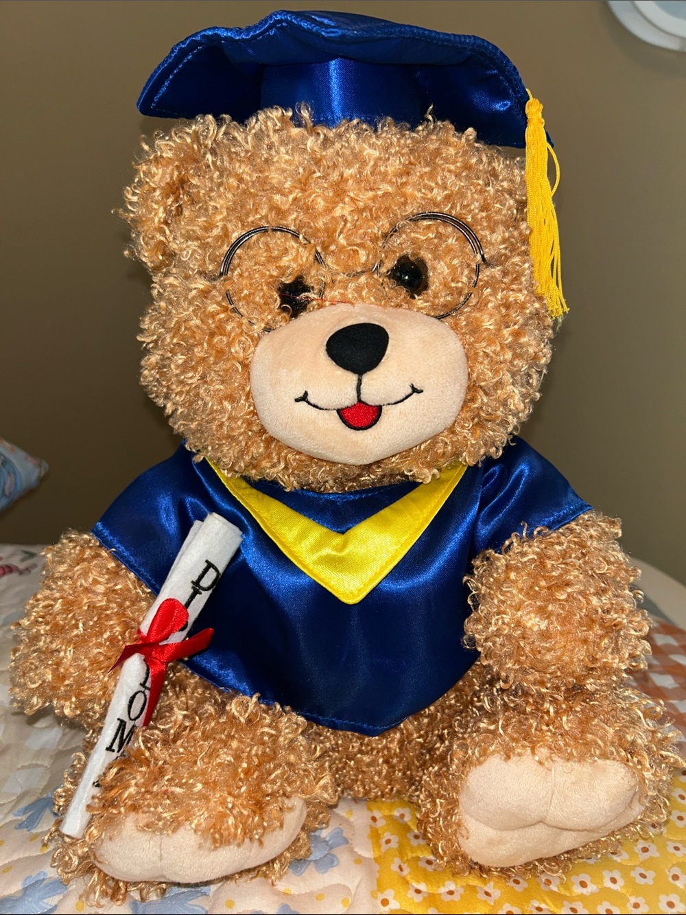 Graduation Teddy Bear Plush
